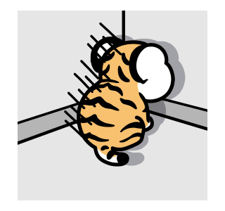 ลายที่ 7