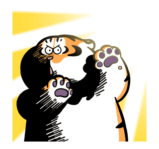 ลายที่ 45