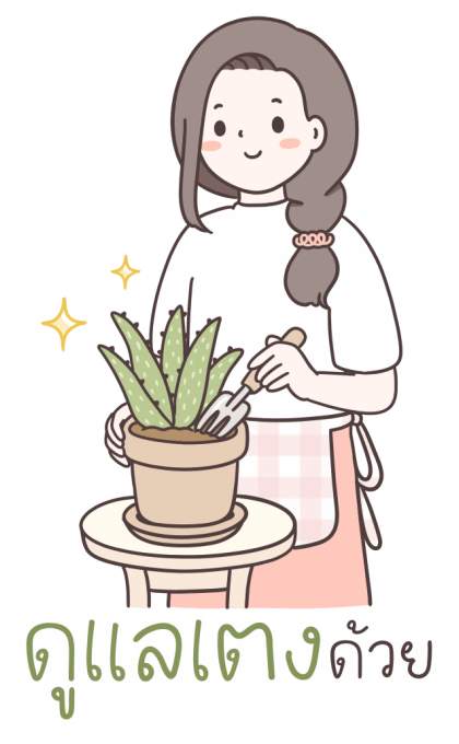 ลายที่ 33