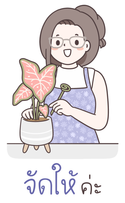 ลายที่ 35