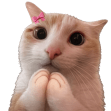 Silly Goofy Dip Catto V.3 รูปที่ 4