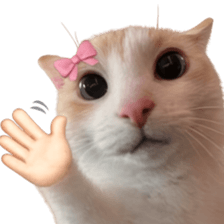 Silly Goofy Dip Catto V.3 รูปที่ 5