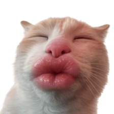 Silly Goofy Dip Catto V.3 รูปที่ 6