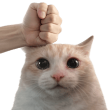 Silly Goofy Dip Catto V.3 รูปที่ 7