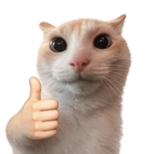 Silly Goofy Dip Catto V.3 รูปที่ 8