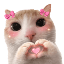 Silly Goofy Dip Catto V.3 รูปที่ 10