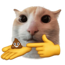 Silly Goofy Dip Catto V.3 รูปที่ 12