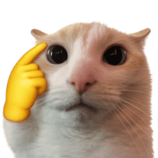 Silly Goofy Dip Catto V.3 รูปที่ 13