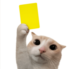 Silly Goofy Dip Catto V.3 รูปที่ 15