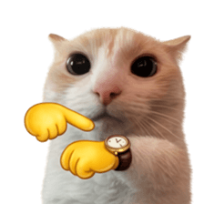 Silly Goofy Dip Catto V.3 รูปที่ 17