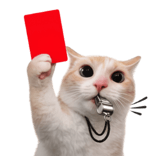 Silly Goofy Dip Catto V.3 รูปที่ 19