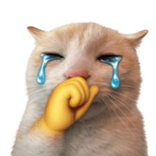 Silly Goofy Dip Catto V.3 รูปที่ 20