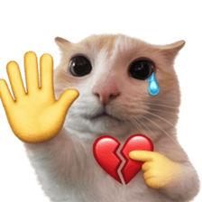 Silly Goofy Dip Catto V.3 รูปที่ 21