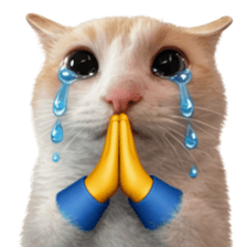 Silly Goofy Dip Catto V.3 รูปที่ 23
