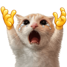 Silly Goofy Dip Catto V.3 รูปที่ 24