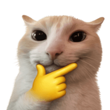 Silly Goofy Dip Catto V.3 รูปที่ 25