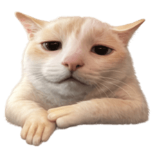 Silly Goofy Dip Catto V.3 รูปที่ 26