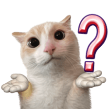 Silly Goofy Dip Catto V.3 รูปที่ 27
