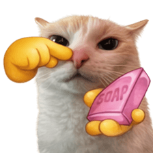 Silly Goofy Dip Catto V.3 รูปที่ 28