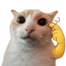 Silly Goofy Dip Catto V.3 รูปที่ 30