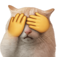 Silly Goofy Dip Catto V.3 รูปที่ 31