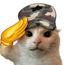 Silly Goofy Dip Catto V.3 รูปที่ 35