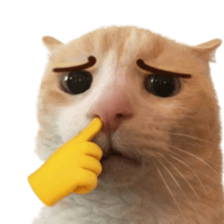 Silly Goofy Dip Catto V.3 รูปที่ 36