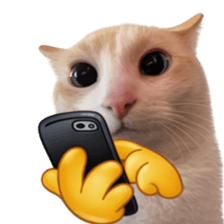 Silly Goofy Dip Catto V.3 รูปที่ 38