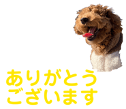 812365115