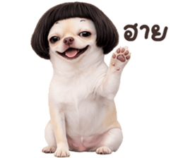 ลายที่ 1