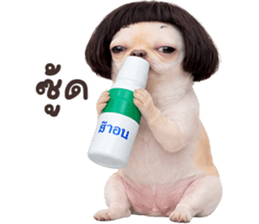 ลายที่ 5