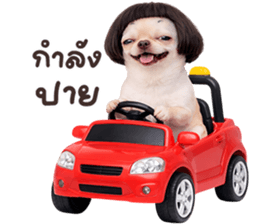 ลายที่ 7