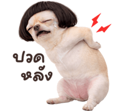 ลายที่ 9