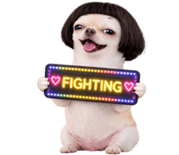 ลายที่ 11