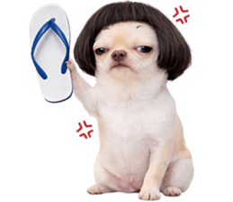 ลายที่ 13