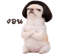 ลายที่ 15