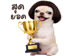 ลายที่ 17