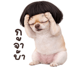 ลายที่ 19