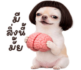 ลายที่ 21