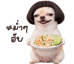 ลายที่ 23