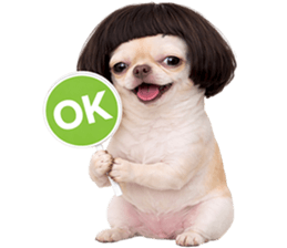 ลายที่ 27