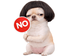 ลายที่ 29