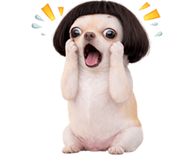 ลายที่ 31