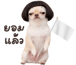 ลายที่ 33