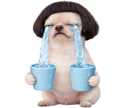 ลายที่ 35