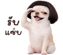 ลายที่ 37