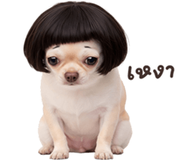 ลายที่ 39