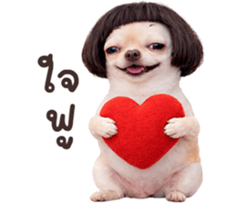 ลายที่ 41