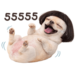 ลายที่ 43