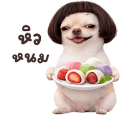 ลายที่ 45